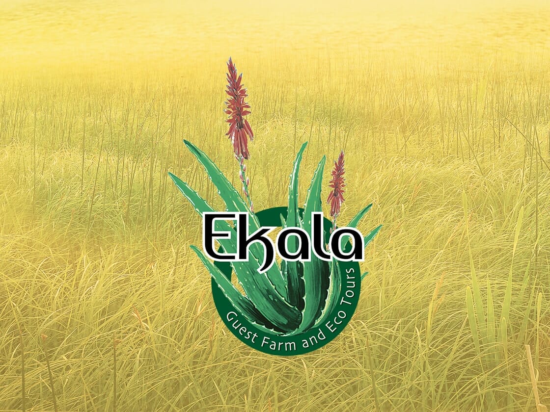 Testimonial profile image for Janet Davis, Ekala