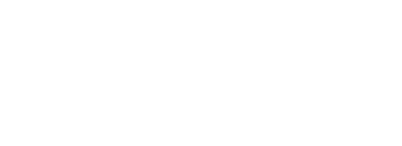 Avance Consulting Group — Avance consulting group element 6