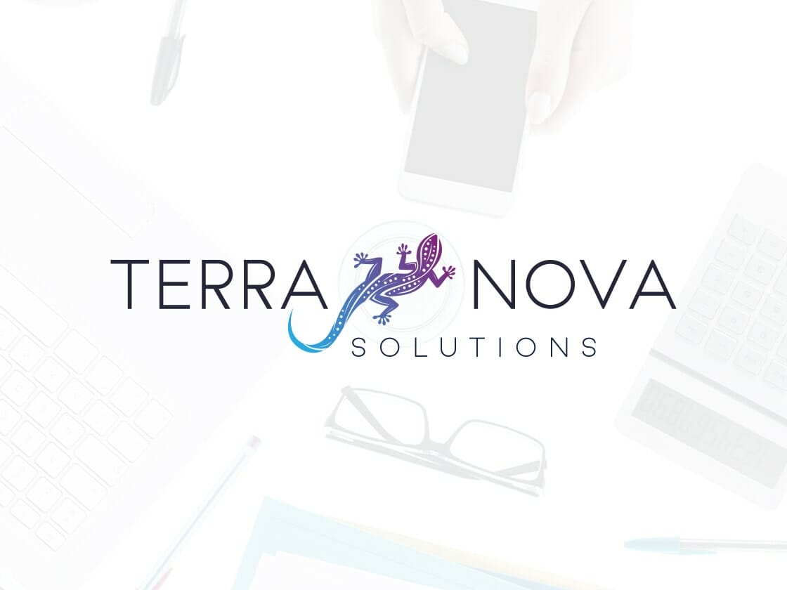 The image features the logo of Terra Nova Solutions, with "TERRA" and "NOVA" in bold black letters. Between the words is a stylized purple and blue gecko. Below, the word "SOLUTIONS" is in smaller black font. The background shows a hand holding a smartphone, a calculator, eyeglasses, and a laptop.