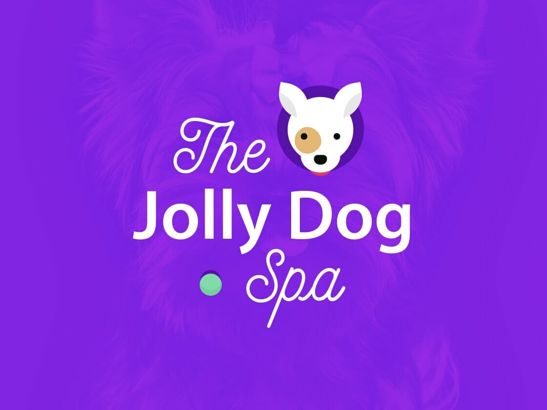 A vibrant purple background featuring "The Jolly Dog Spa" text in white, with an illustrated dog head, predominantly white with a brown spot around one eye, incorporated above the logo. A small green dot precedes the word "Spa," and a dog's fur is faintly visible in the background.