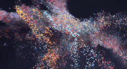 Blossom prototype image