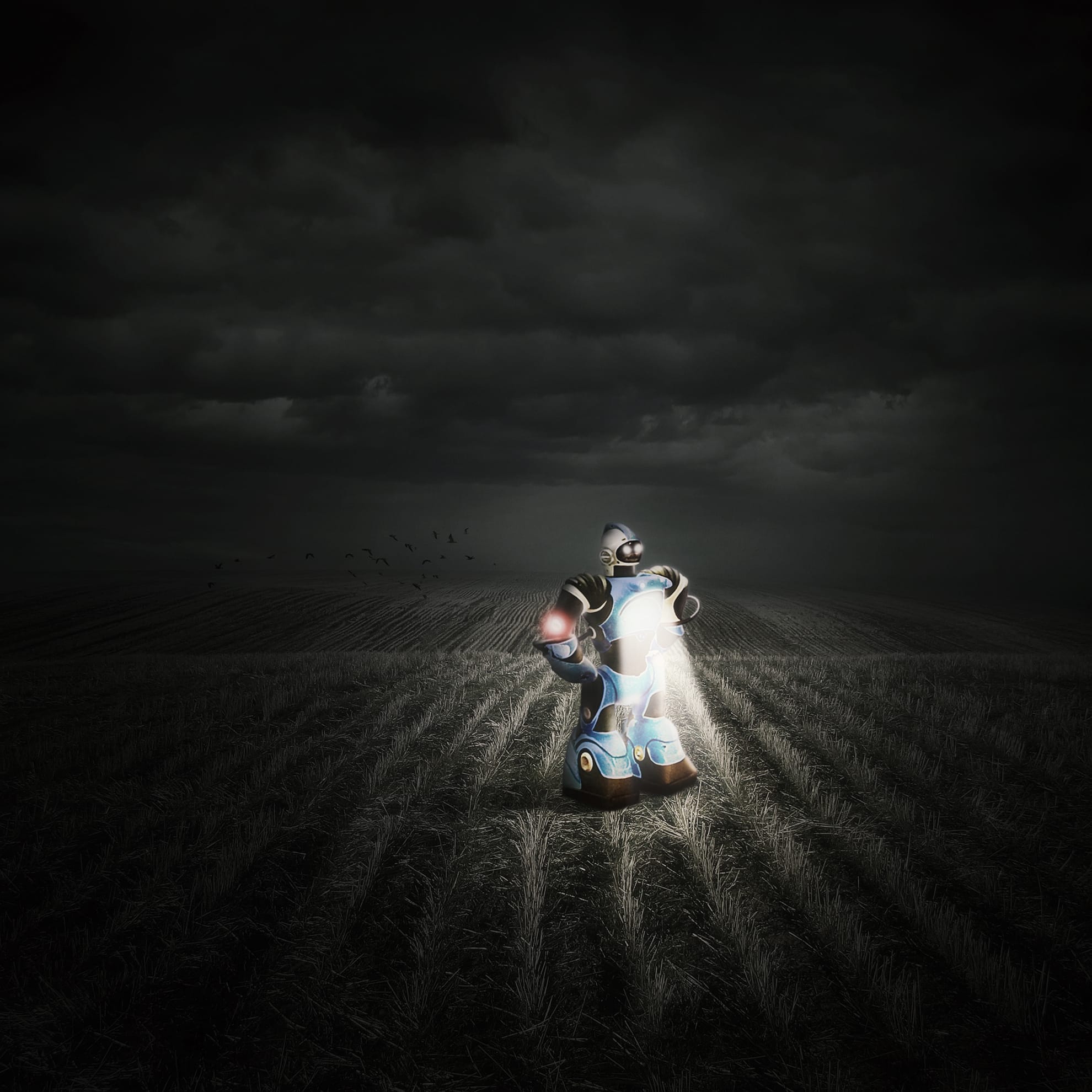 A toy robot stands resolutely in a field, symbolising the loss of childhood innocence and the embrace of adult responsibilities.