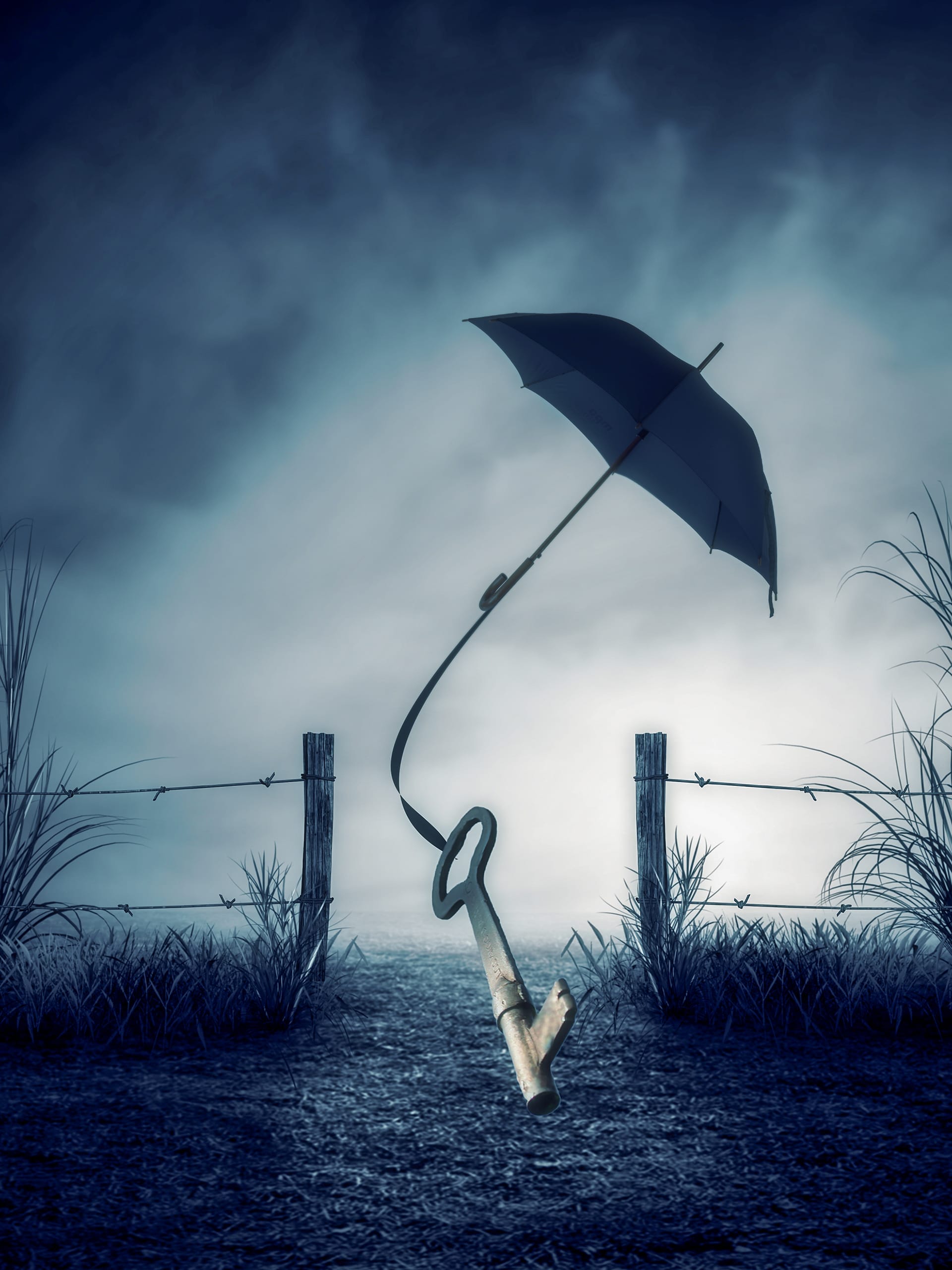 A surreal scene featuring a large key floating in the air, with its shaft wrapped around the handle of an open umbrella. The background is misty and dark, with a path leading through a gate made of two wooden posts connected by barbed wire. Tall grasses frame the path.