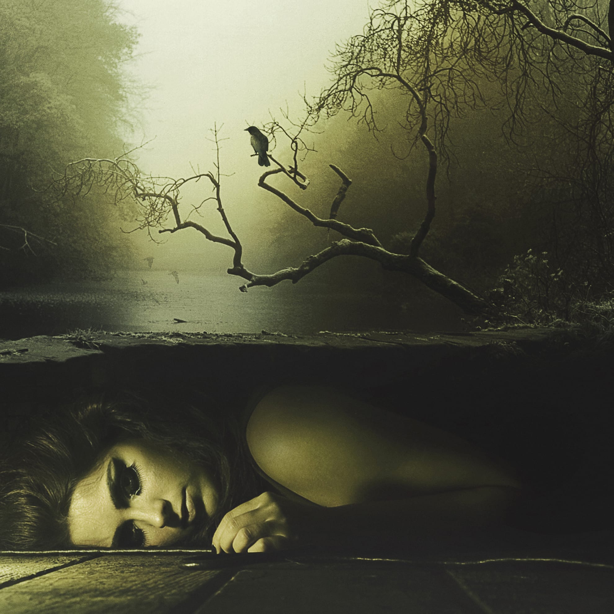 A surreal image with a dim, greenish overlay. An innocent woman lies partially buried in the ground at the bottom, her face and one arm visible. Above her, a misty, abandoned forest unfolds, with a barren tree extending horizontally. A bird perched on the tree branch appears to be calling out.