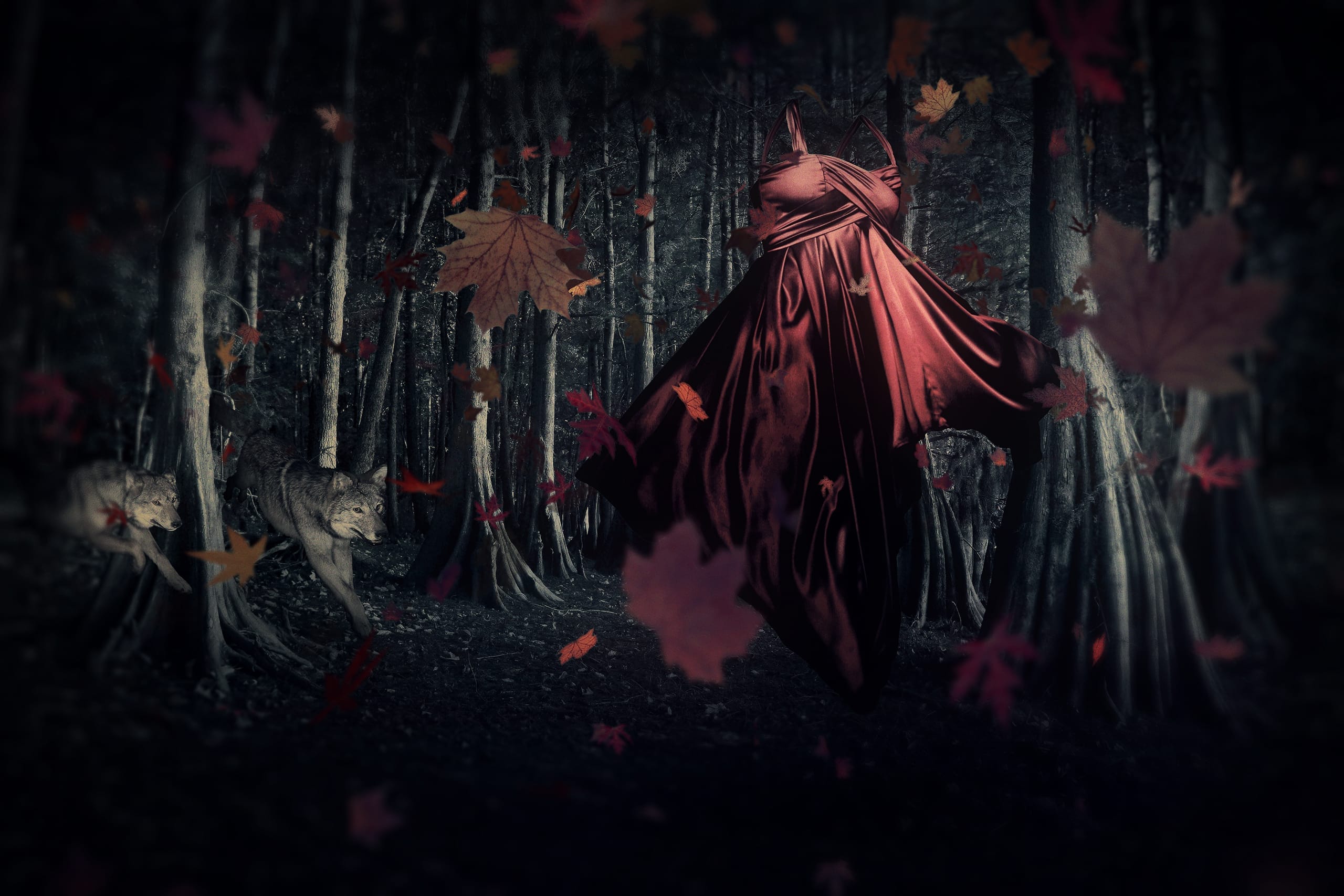 A red flowing dress hovers in a dark, eerie forest filled with towering trees and scattered autumn leaves. Two wolves with piercing eyes stand alert in the background amidst the shadows. The atmosphere is mystical and haunting, reminiscent of a Red Riding Hood tale, with leaves suspended mid-air, adding to the surreal scene.