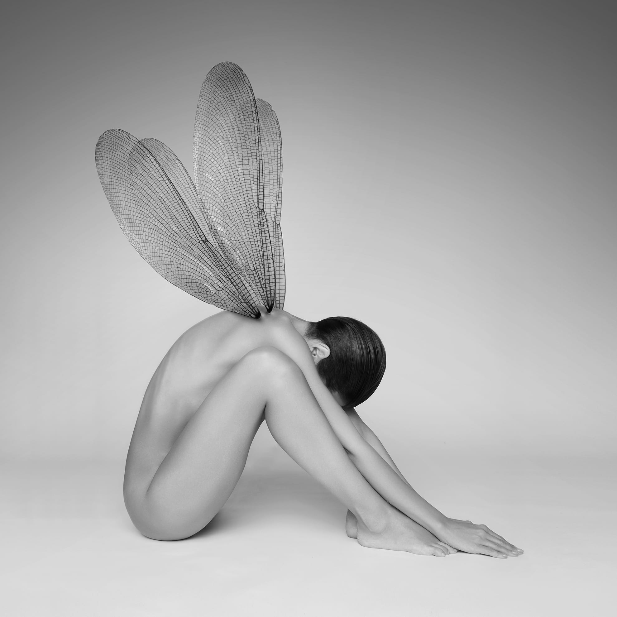 A black and white image of a nude person sitting on the floor with knees bent and arms wrapped around their legs. They lean forward with head resting on knees, as if in deep consciousness. Large, translucent wings resembling those of a dragonfly extend gracefully from the back against a gradient gray background.