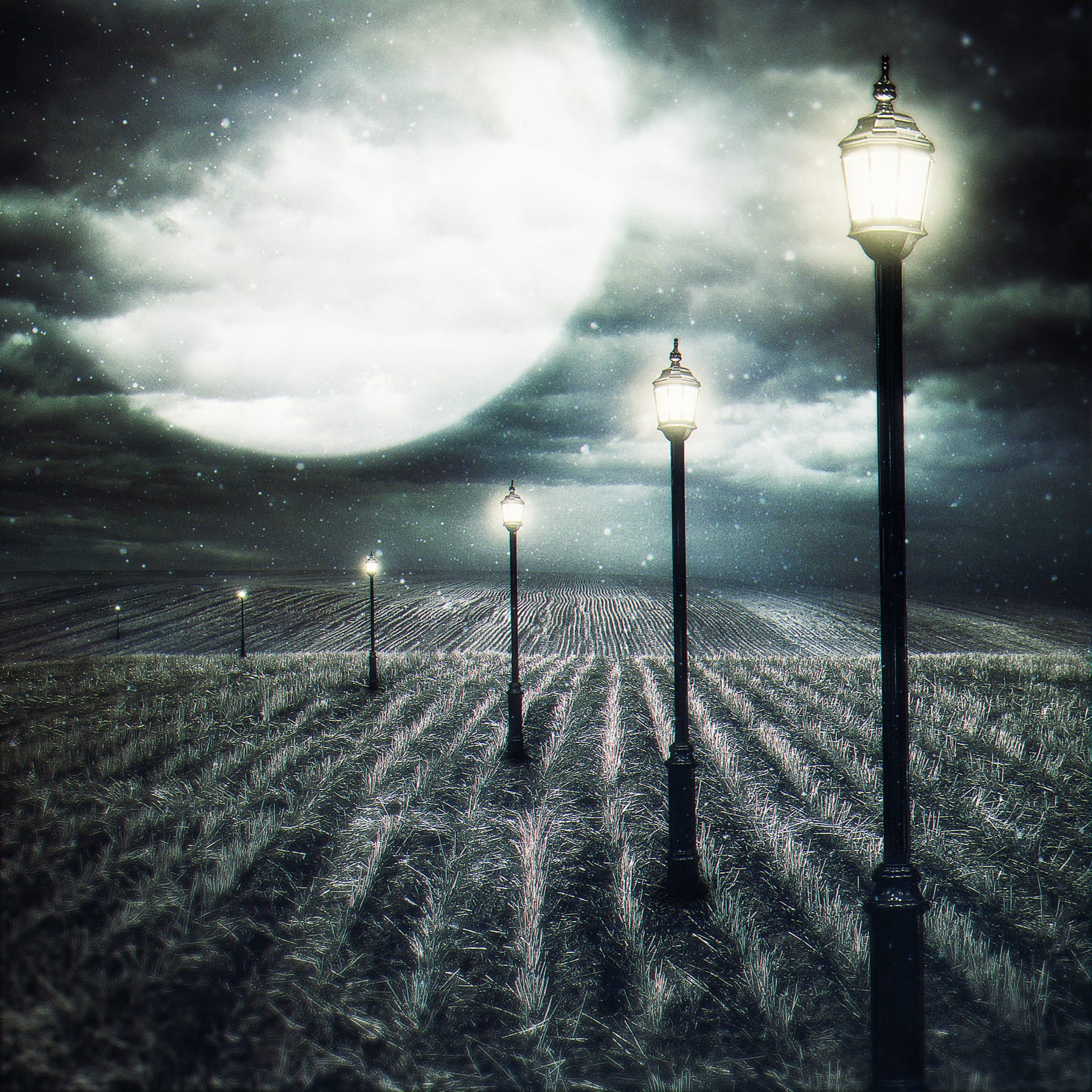 A surreal scene features a series of street lamps aligned in a row on an expansive, barren field under a cloudy, starry night sky. An owl perches quietly atop one lamp. A large, luminous moon dominates the background, casting an ethereal light over the landscape, creating long shadows and highlighting the textured ground.