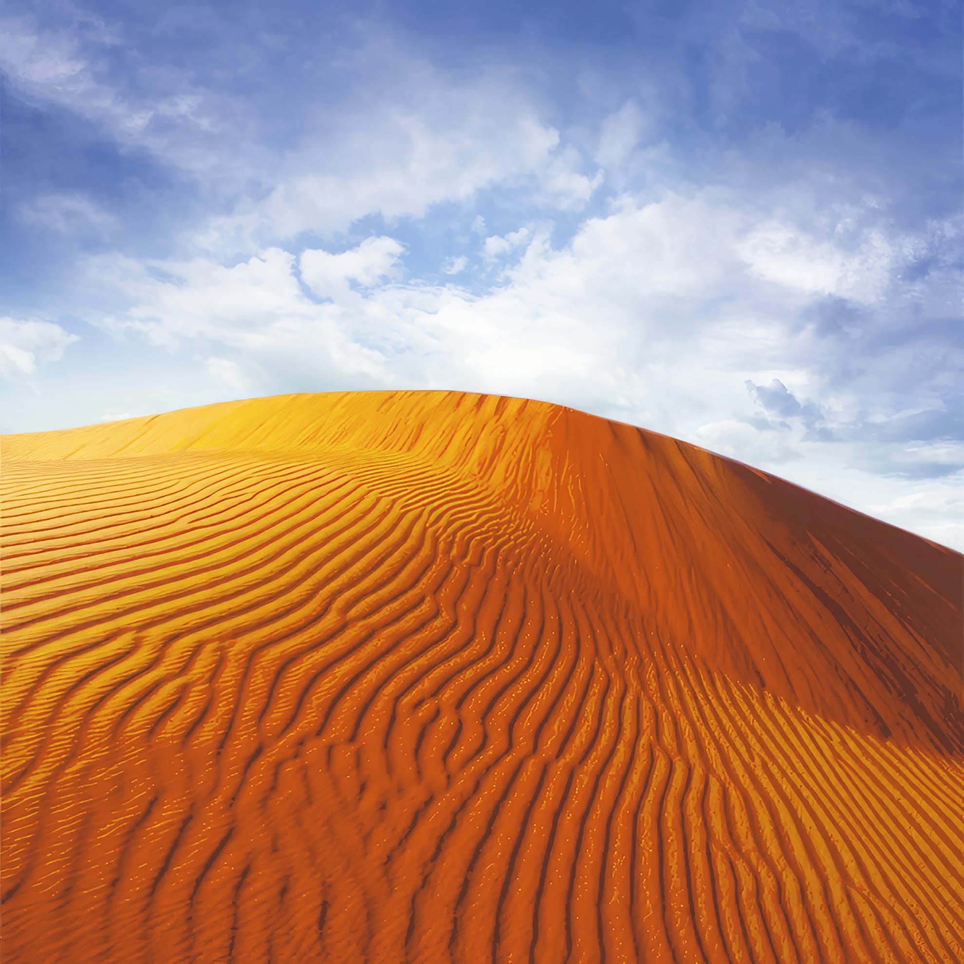 A vast desert landscape features a prominent sand dune under a bright blue sky with scattered clouds. The dune is covered with intricate ripples and patterns created by the wind, showcasing the rich orange and golden hues of the sand contrasting against the sky.