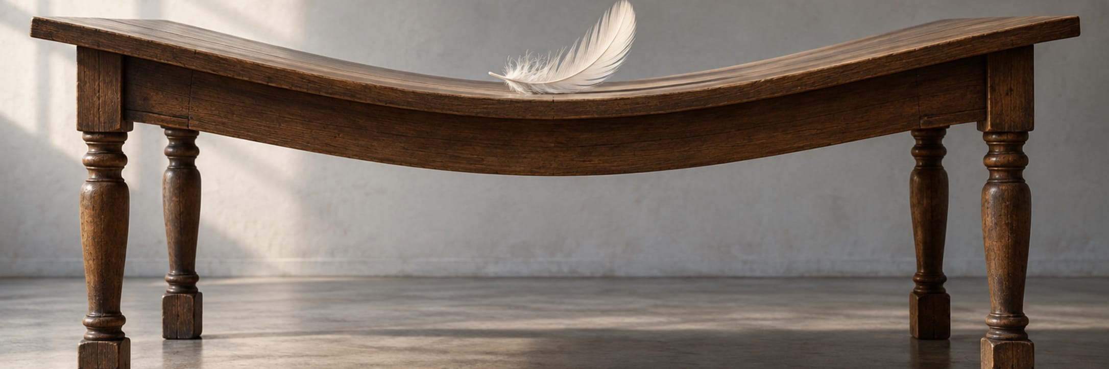 A white feather bends the centre of a wooden table in sunlight.